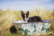 Load image into Gallery viewer, Lavender Dog Shampoo - 400ml