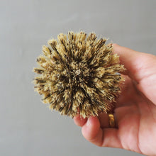 Load image into Gallery viewer, A hand holding a dried, spherical decorative brush with dense golden-brown bristles against a plain gray background.
