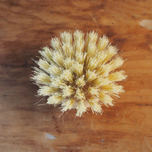 Load image into Gallery viewer, A round, natural-looking brush made of pale yellow bristles, placed on a brown wooden surface.
